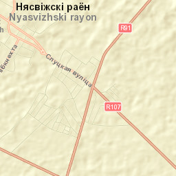 Nyasvizh Street Map