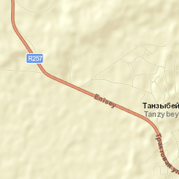 Tanzybey Street Map