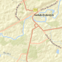 Golub-Dobrzyń Street Map