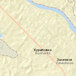 Zasechnoye Street Map