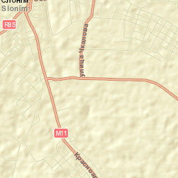 Slonim Street Map