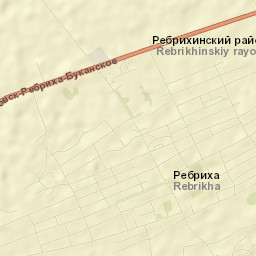 Rebrikha Street Map