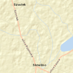 Skrwilno Street Map