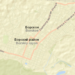 Borskoye Street Map