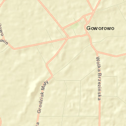 Goworowo Street Map