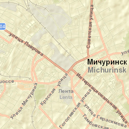 Michurinsk Street Map