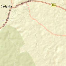 Cedynia Street Map