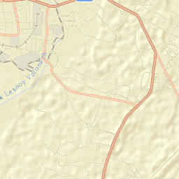 Zavoronezhskoye Street Map