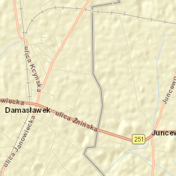 Damasławek Street Map