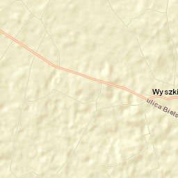 Wyszki Street Map