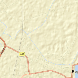 Rogoźno Street Map