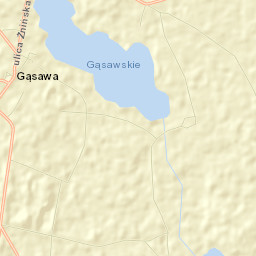 Gąsawa Street Map