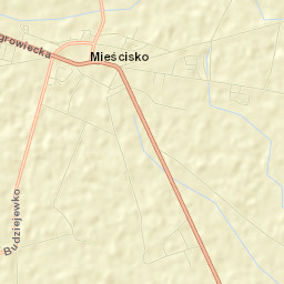 Mieścisko Street Map