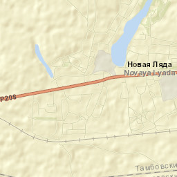 Novaya Lyada Street Map