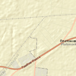 Platonovka Street Map