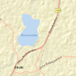 Skoki Street Map