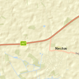 Necton Street Map