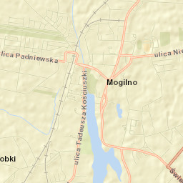 Mogilno Street Map