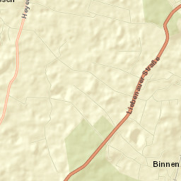 Binnen Street Map