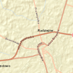 Radziejów Street Map