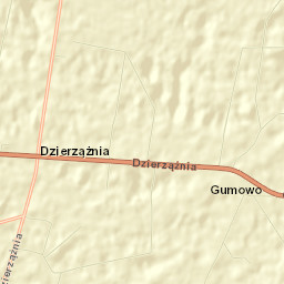 Dzierzążnia Street Map