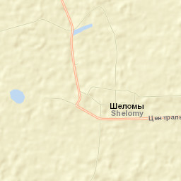 Novozybkovskiy Rayon Street Map