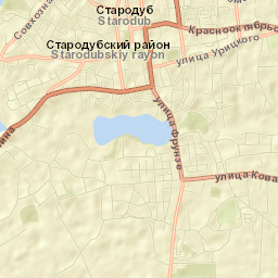 Starodub Street Map