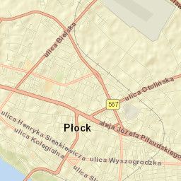 Płock Street Map