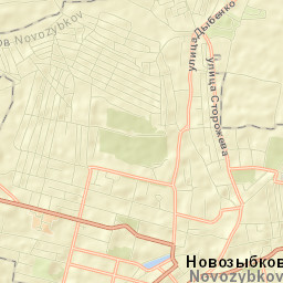 Novozybkov Street Map