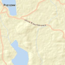Pszczew Street Map