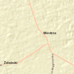 Miedzna Street Map