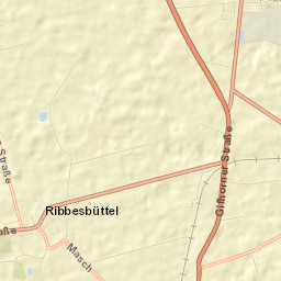 Ribbesbüttel Street Map
