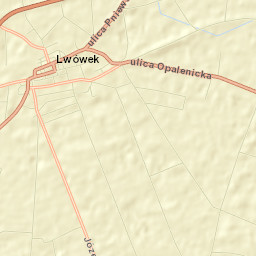 Lwówek Street Map