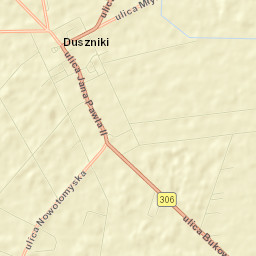 Duszniki Street Map