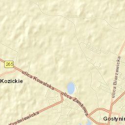 Gostynin Street Map