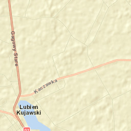Lubień Kujawski Street Map
