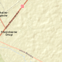 Michałów-Reginów Street Map