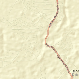 Dobrush Street Map