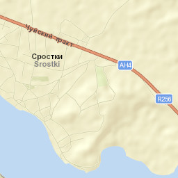 Srostki Street Map