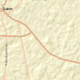 Gąbin Street Map