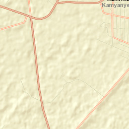 Kamyanyets Street Map