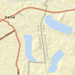 Trzciel Street Map