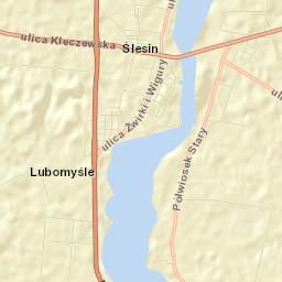 Ślesin Street Map