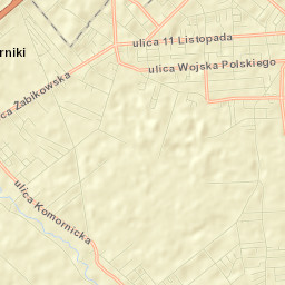 Powiat poznański Street Map