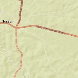 Torzym Street Map
