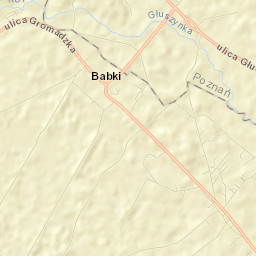 Daszewice Street Map