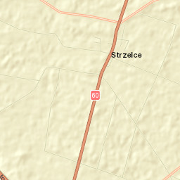 Strzelce Street Map