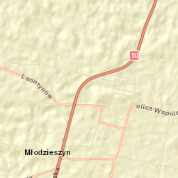 Młodzieszyn Street Map