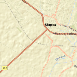 Słupca Street Map