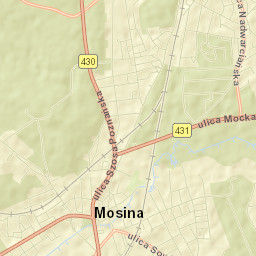 Mosina Street Map